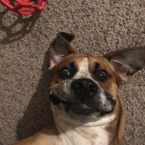 Meet your Posher, Lee